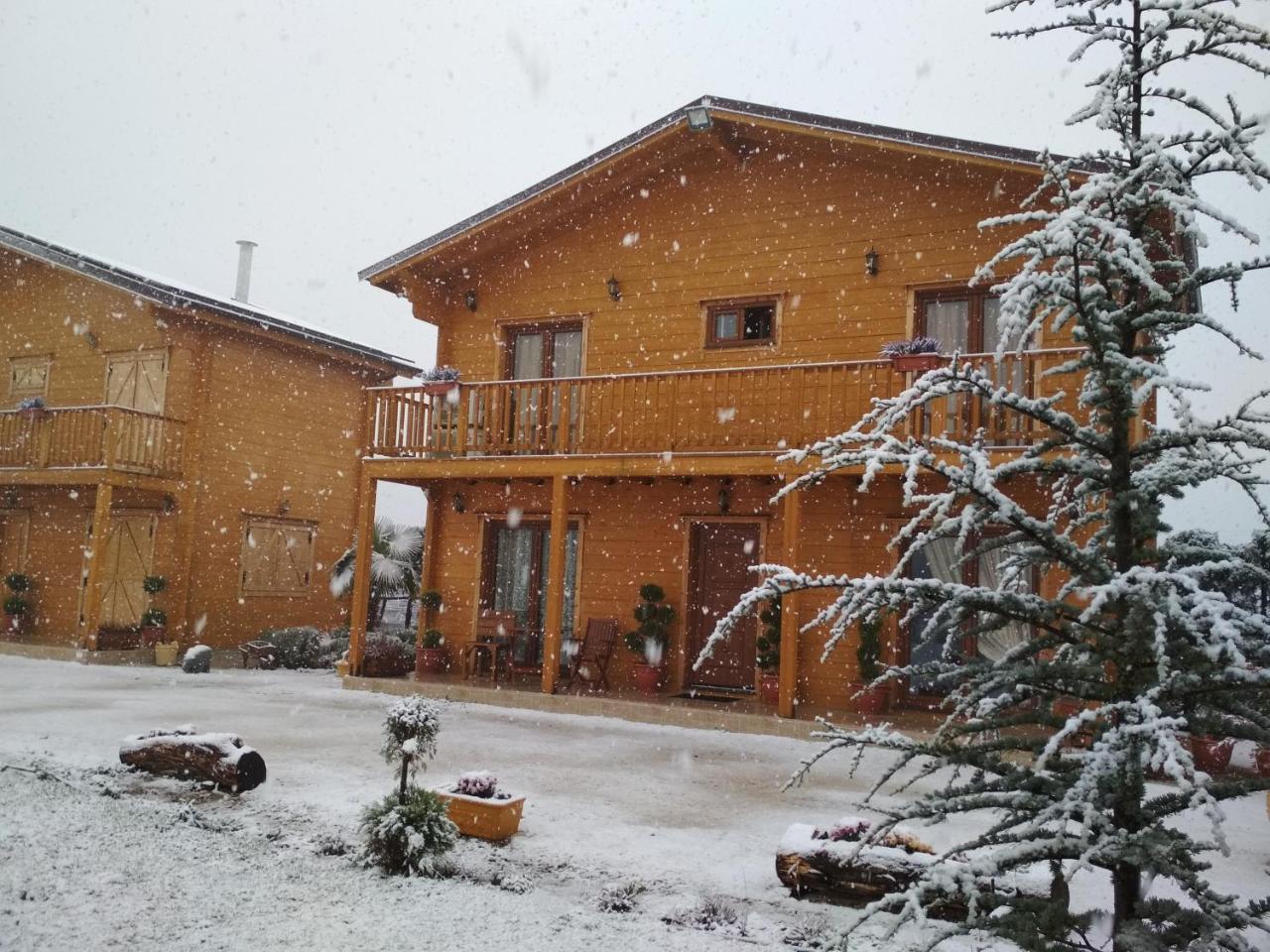 Kastor Chalets Ampelokipoi エクステリア 写真