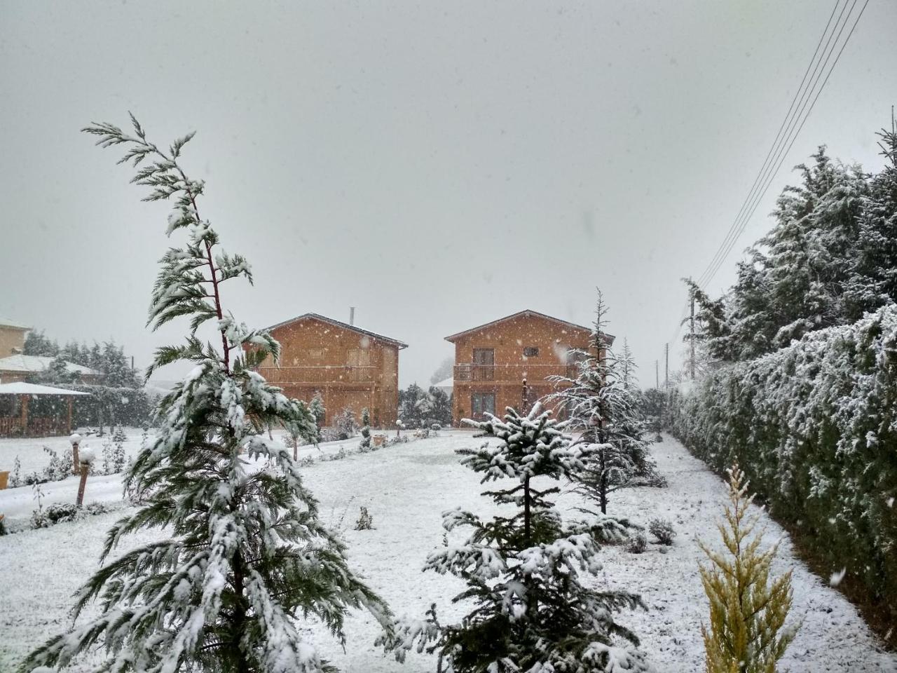 Kastor Chalets Ampelokipoi エクステリア 写真
