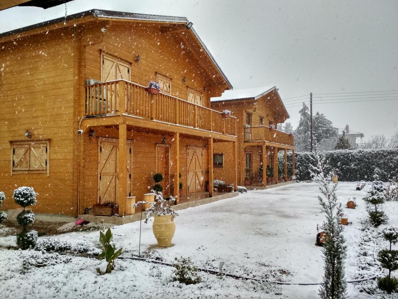Kastor Chalets Ampelokipoi エクステリア 写真