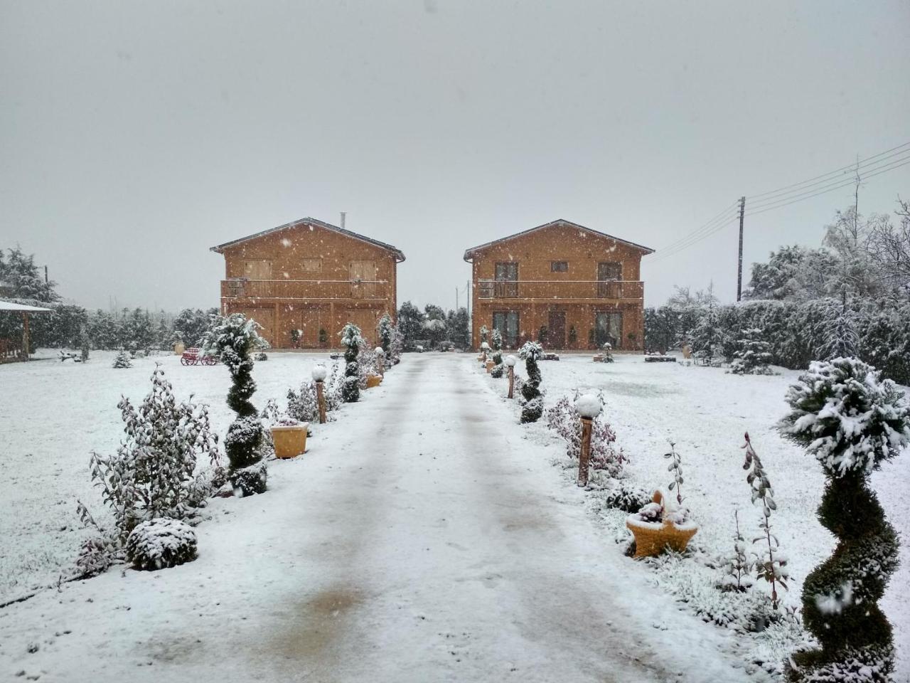 Kastor Chalets Ampelokipoi エクステリア 写真