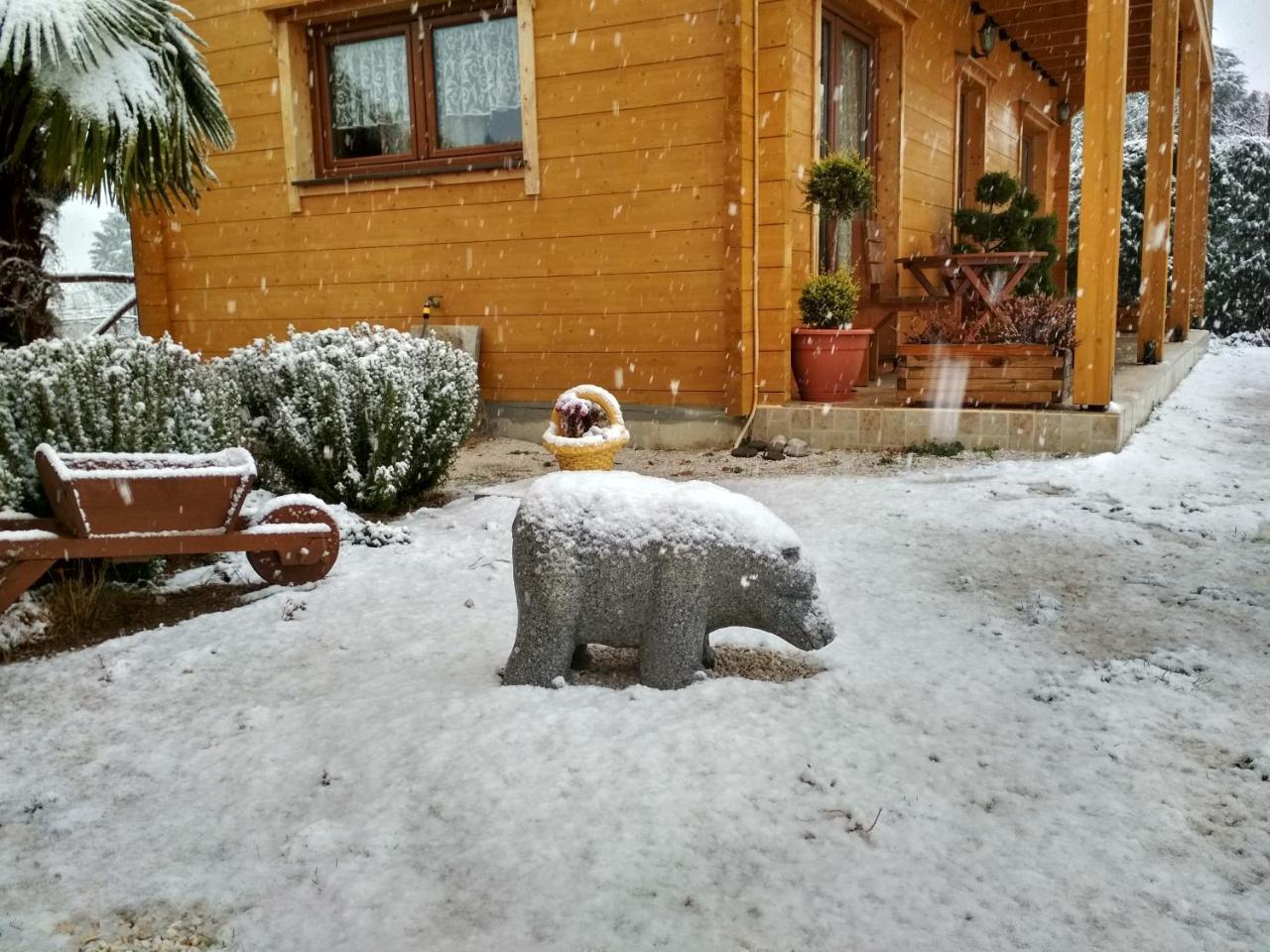 Kastor Chalets Ampelokipoi エクステリア 写真